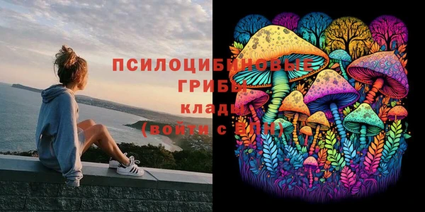 Альфа ПВП Верхнеуральск